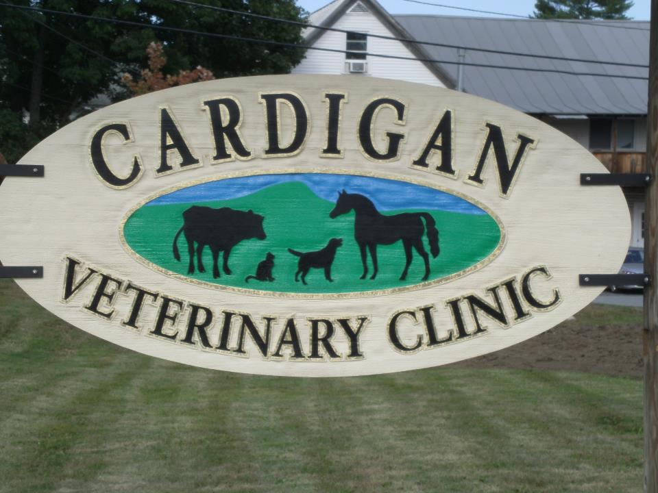 Cardigan Veterinary Clinic