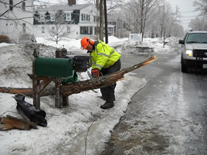 emergency worker cutting tree