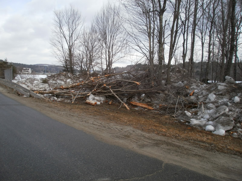 tree debris caused by flood