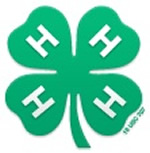 4 H Club logo