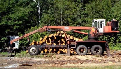 logging operation