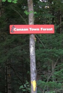 Town Forest Sign