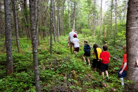 Children hiking in woods