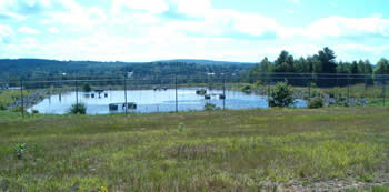 Small square body of water surrounded by a fence.