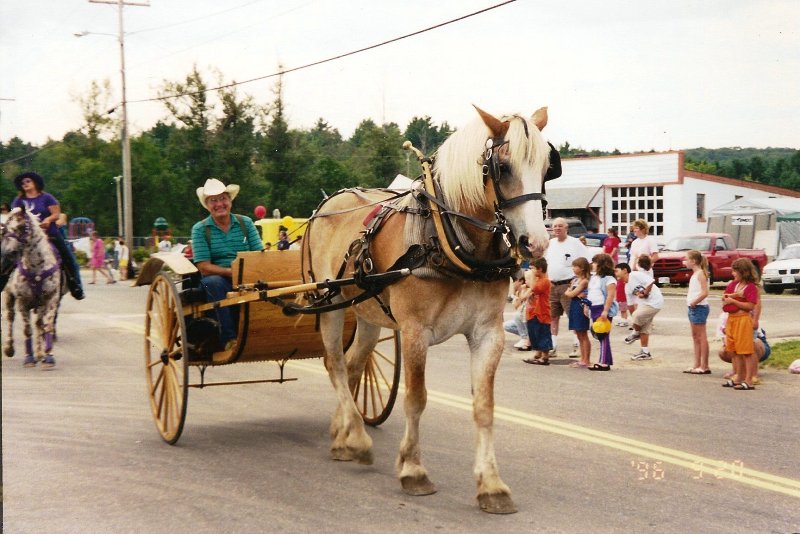 draft horse pulling a 2 wheel buggy