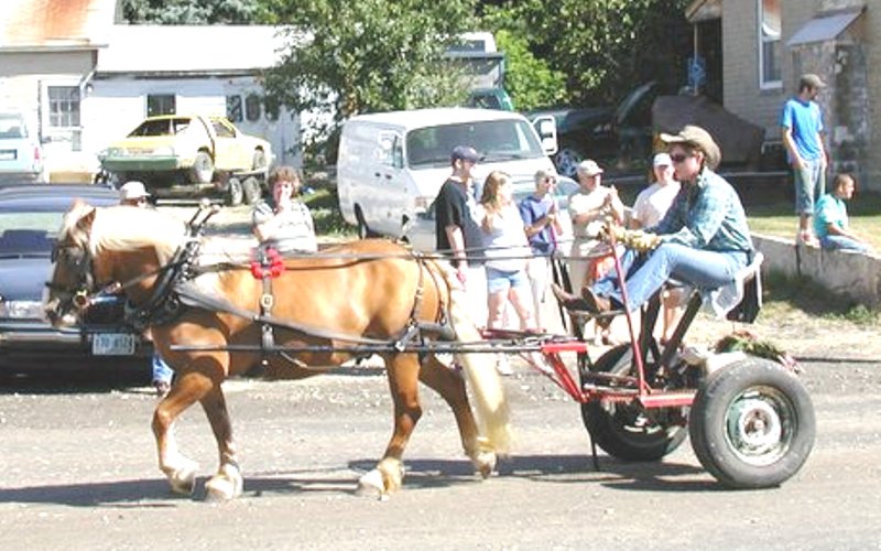 horse pulling woman on 2 wheel seat
