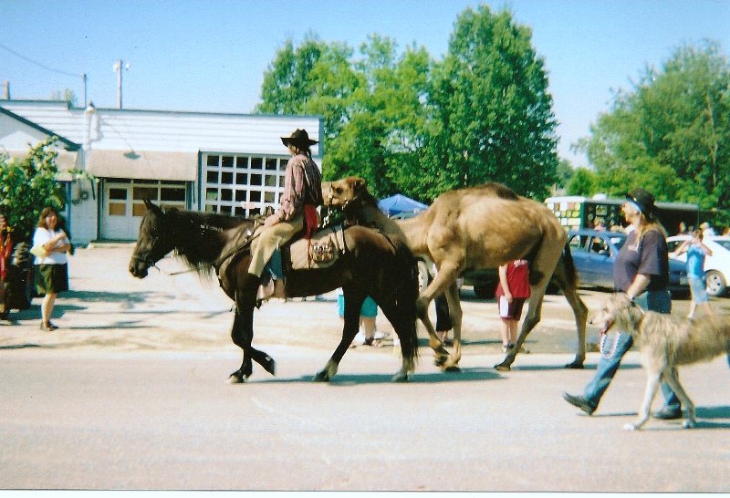cowboy on horse leading a camel