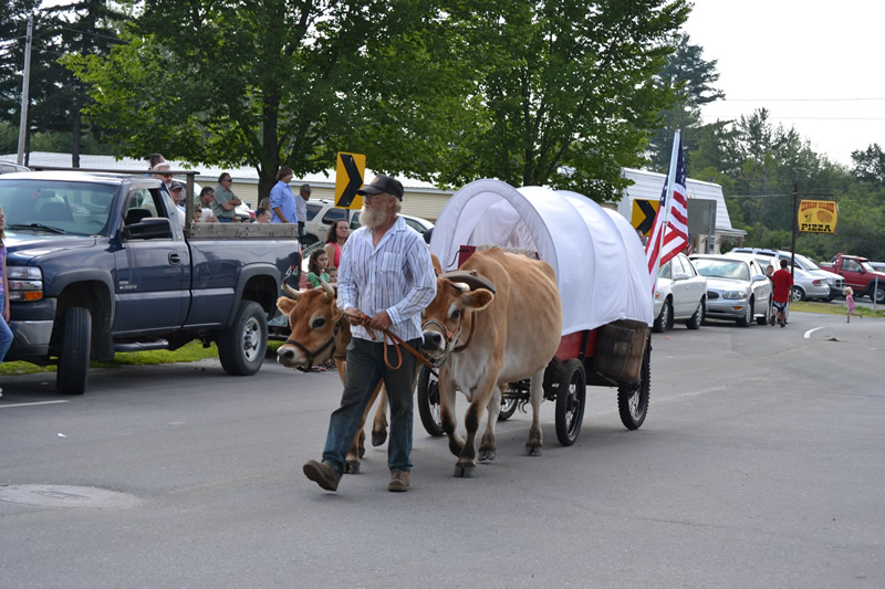 mini covered wagon pulled by yoked cows