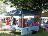 Craft Sale on the Green